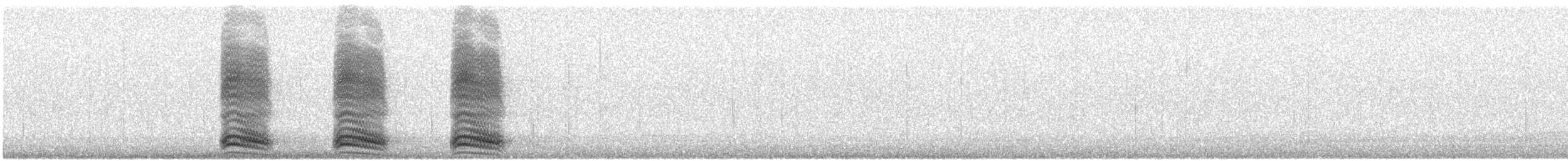 American Crow - ML610662062