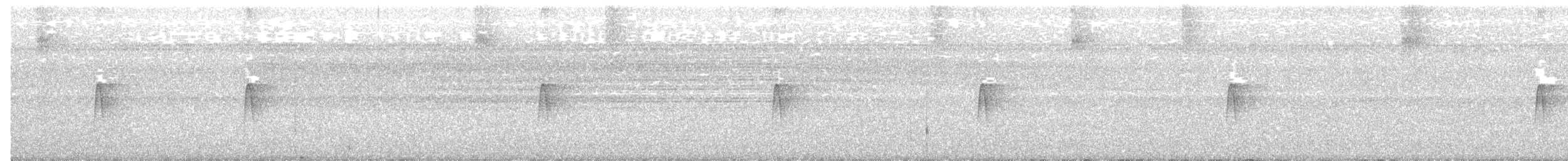 Northern/Mangrove Yellow Warbler - ML610669476