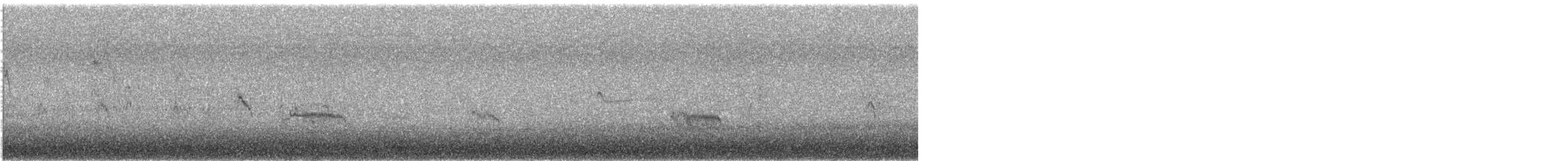 jespák obecný (ssp. pacifica/arcticola) - ML610673638