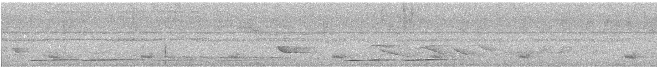 tukan volavý (ssp. culminatus/pintoi) - ML610677993