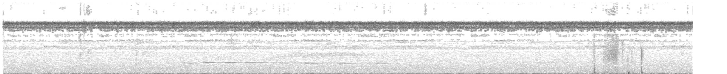 Gözlüklü Yerçavuşu - ML610681653