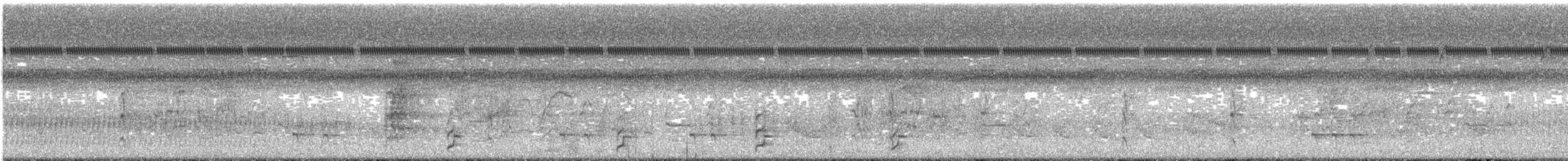 Polluela Picopinta - ML610682795