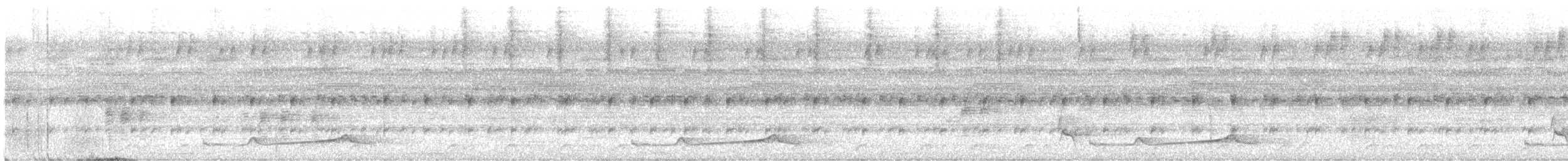 Silky-tailed Nightjar - ML610686760