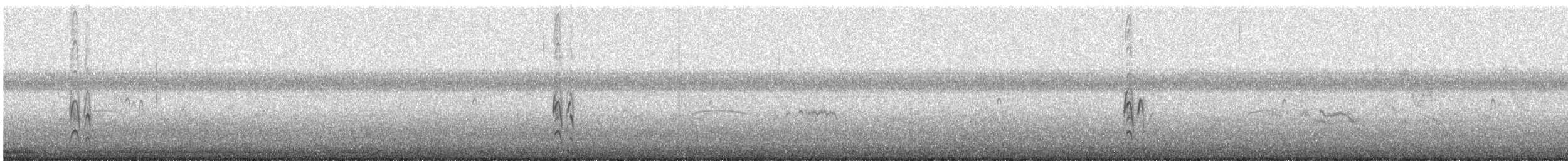 東方環頸鴴(alexandrinus/nihonensis) - ML610687073
