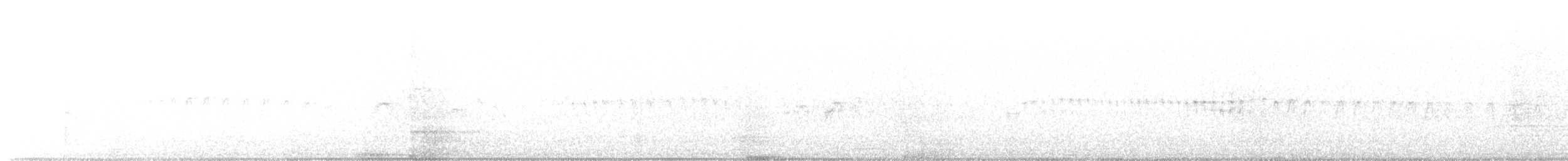 シロハラアマツバメ - ML610698402