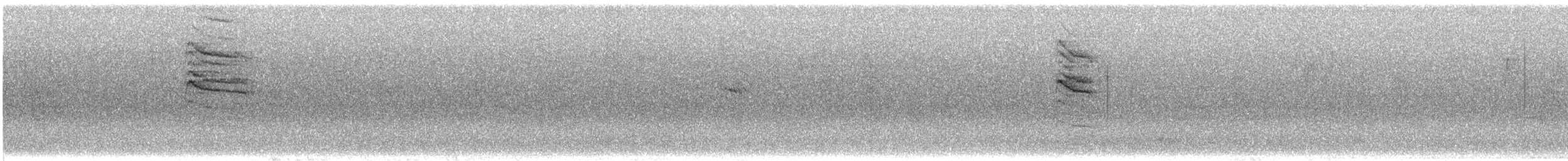 Blaumückenfänger (caerulea) - ML610699425
