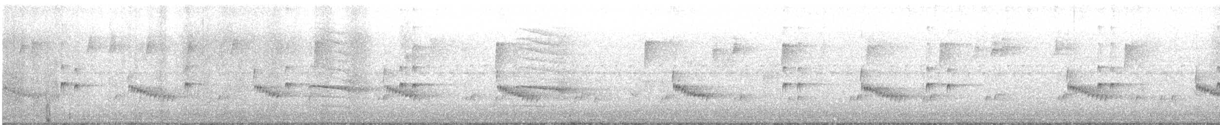 Carolina Wren - ML610706659