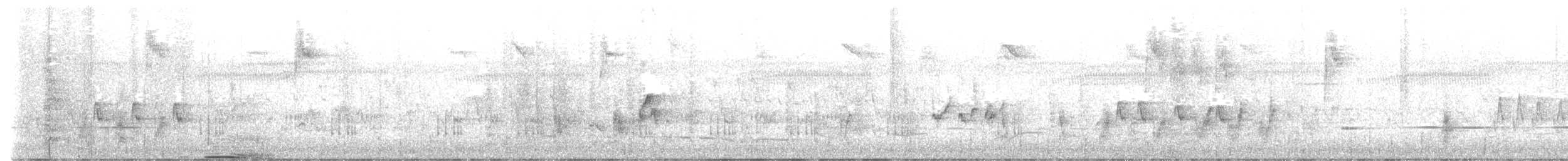 Australian Reed Warbler - ML610719423