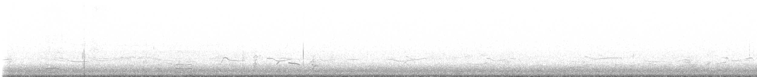 Black-bellied Plover - ML610722280