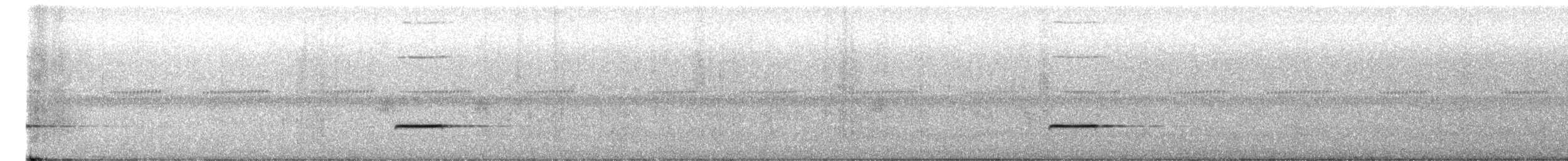 Kısa Kuyruklu Napoter - ML610725000