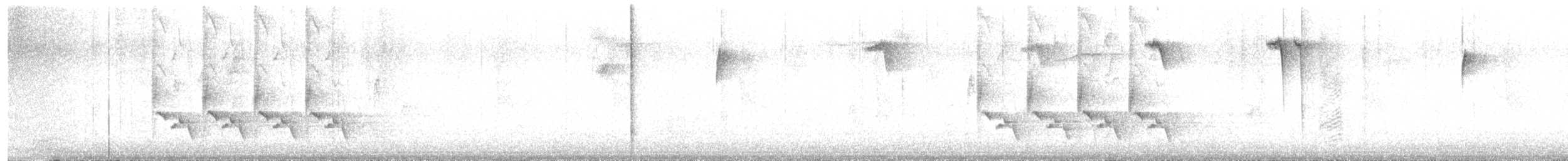 Поплітник каролінський - ML610728919