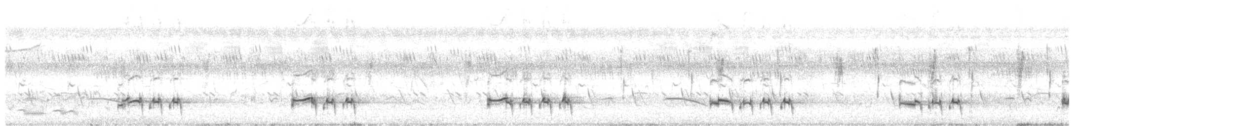 Pied Cuckoo - ML610730324