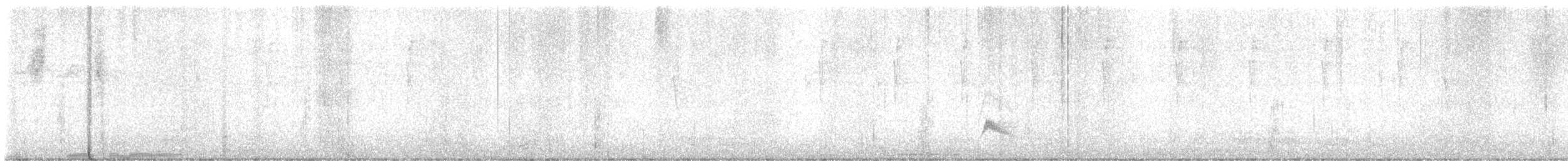 Weißkronen-Olivtyrann - ML610738033