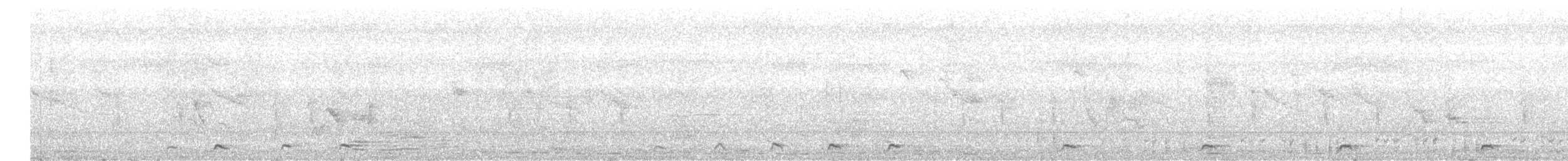 Багновик білогрудий - ML610747852