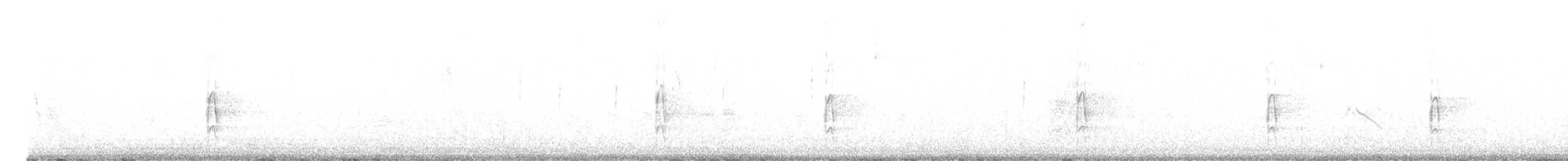 strakapoud americký [skupina harrisi] - ML610751532