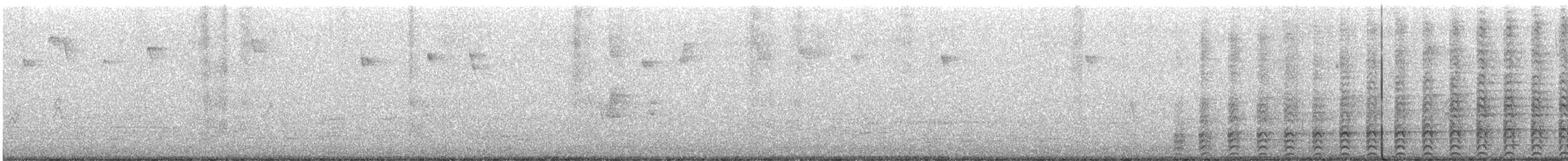 クーパーハイタカ - ML610754643