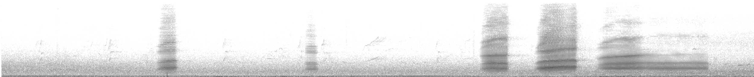 Южноавстралийский ворон - ML610765419