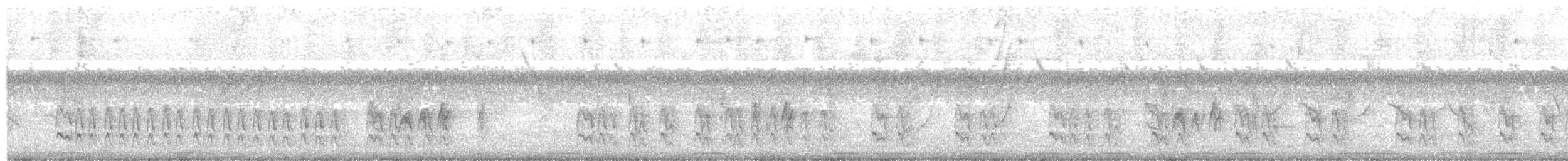 Rusty-backed Antwren - ML610777290