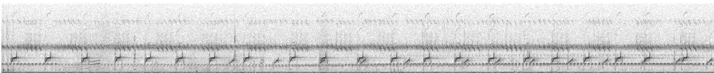 Pied Avocet - ML610780654