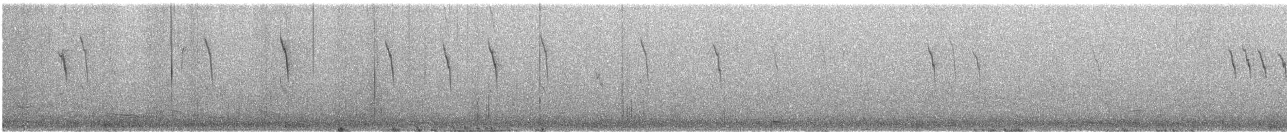 Pipit d'Amérique - ML610781072