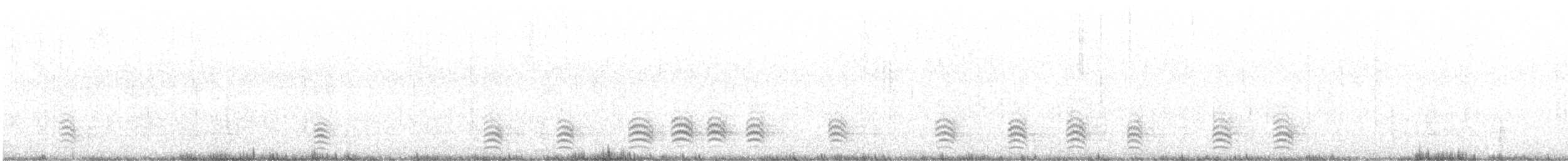 Sittelle à poitrine blanche (carolinensis) - ML610783197