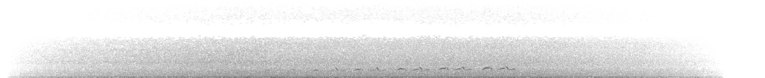 Lyre-tailed Nightjar - ML610787667
