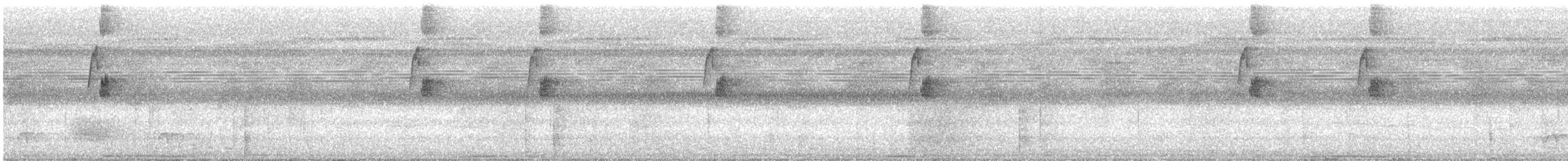 Большеклювый колибри-отшельник - ML610790964