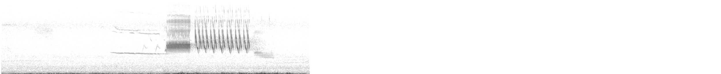 White-crowned Sparrow - ML610794337