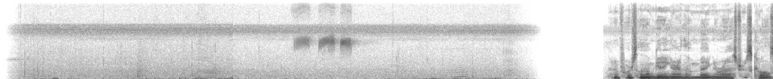 Серпокрилець-крихітка неотропічний - ML610795949
