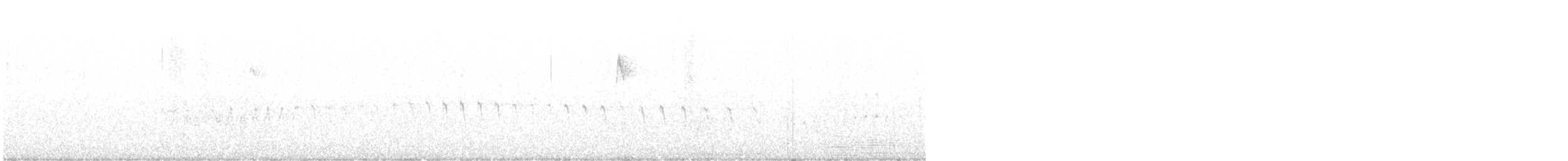 シロハラアマツバメ - ML610798198