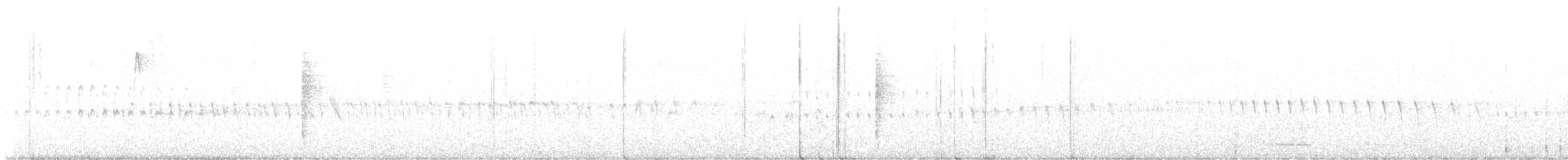 シロハラアマツバメ - ML610798291