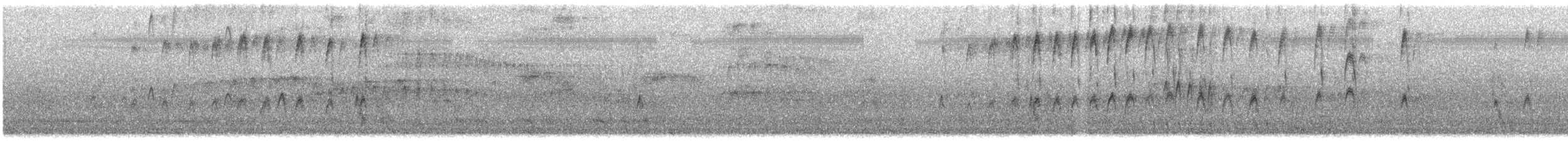 Vencejo Oriental - ML610805858