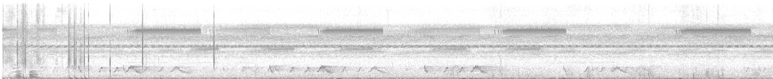 Rostnachtschwalbe - ML610811298