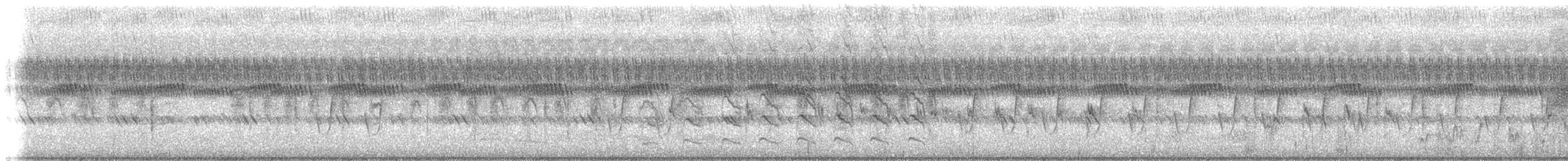 סבראש - ML610817749