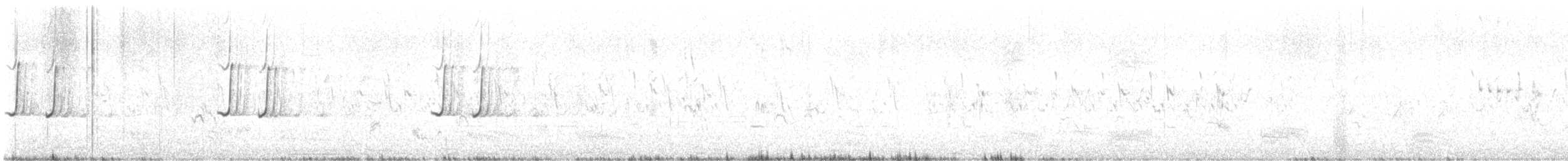 Caille nattée - ML610819888