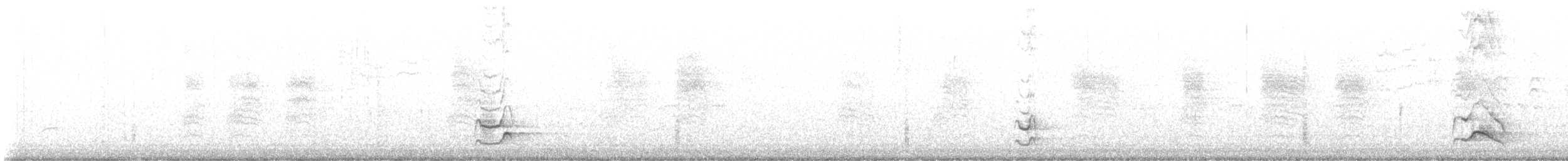 Длинноклювый пересмешник - ML610820039