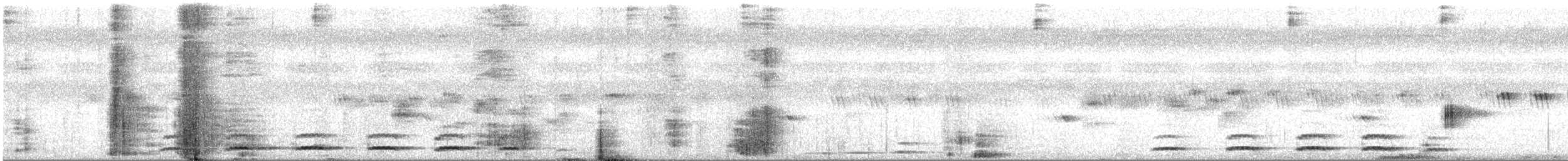 Jungle Owlet - ML610822984