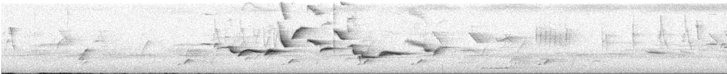 White-bellied Sholakili - ML610823424