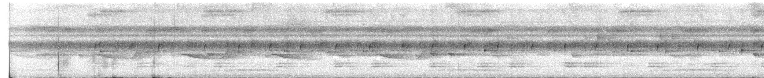 Breitspiegel-Nachtschwalbe (longirostris) - ML610823439