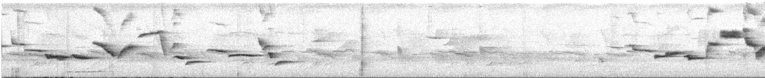 White-bellied Sholakili - ML610823476