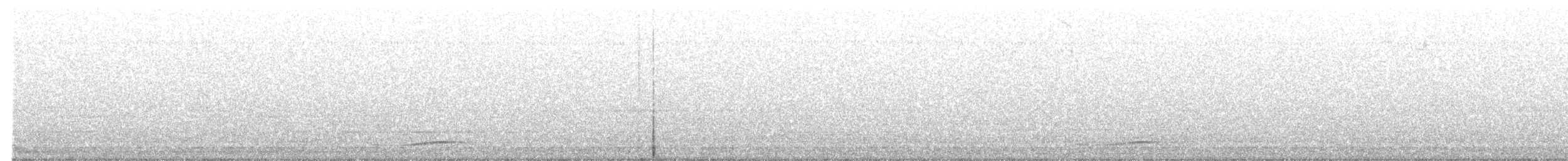 Pazifikkoel (cyanocephalus/subcyanocephalus) - ML610823794