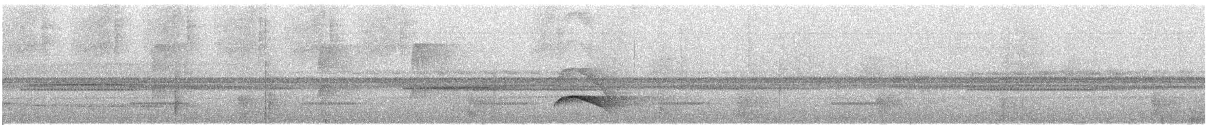 olivenryggtreløper - ML610833599