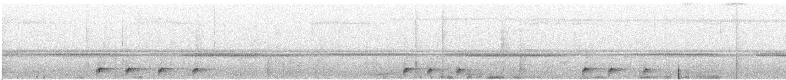 Chotacabras Ocelado - ML610833930