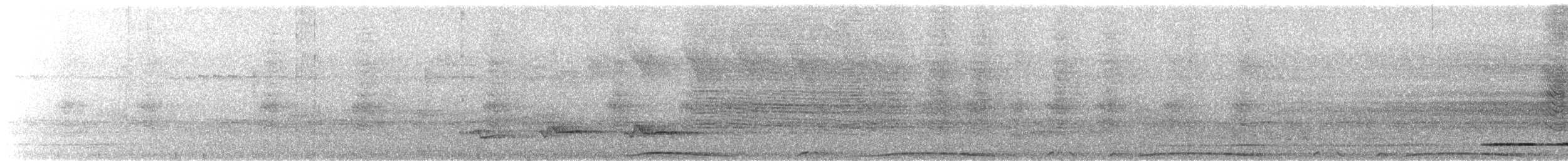 holub neotropický - ML610850556