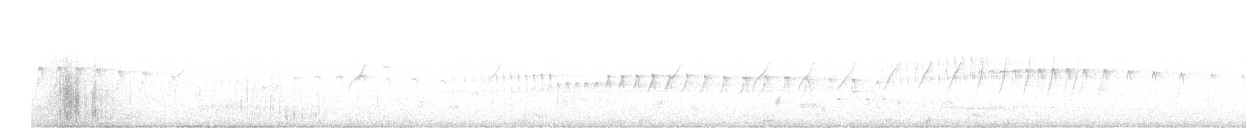 シロハラアマツバメ - ML610855346