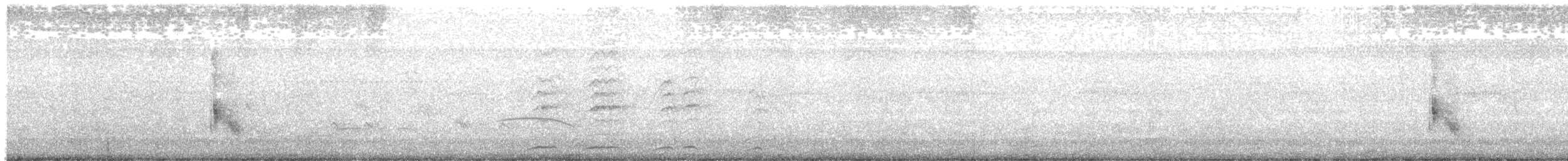 Black-backed Water-Tyrant - ML610860351