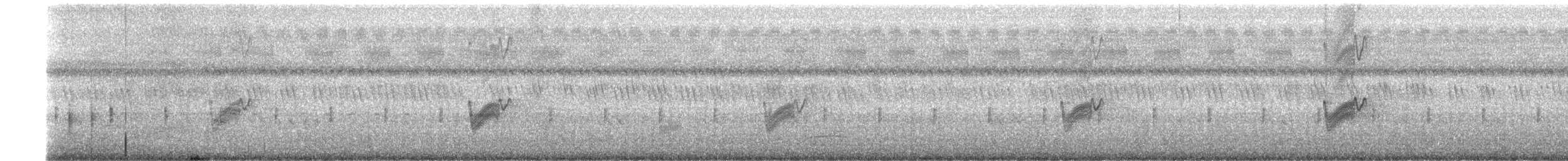 シロアゴヨタカ（affinis グループ） - ML610860673