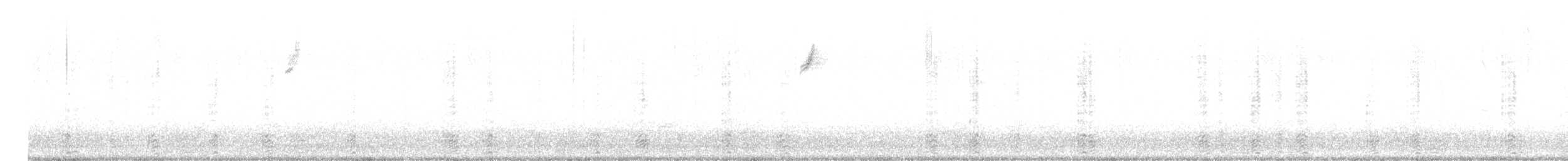黑雁(nigricans) - ML610869204