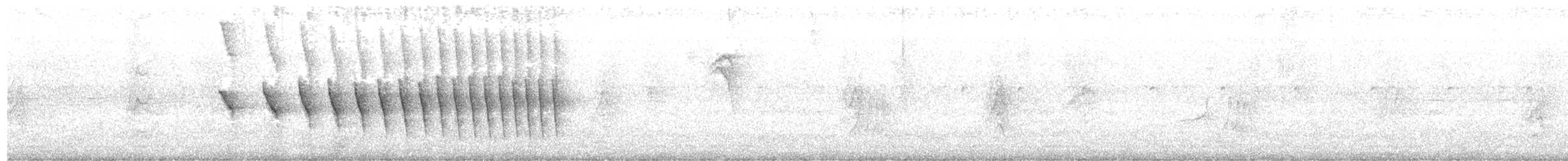 Dusky-tailed Antbird - ML610877103