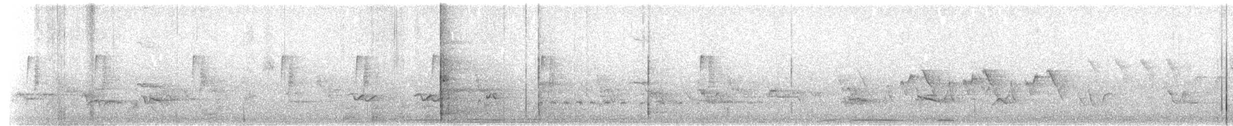 チビメジロハエトリ - ML61088291